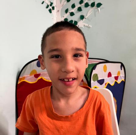 Искандер Г.