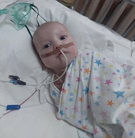 Владислав К.