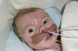 Александр П.